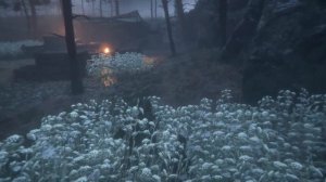 A Plague Tale: Innocence - Все диковинки, подарки, гербарий