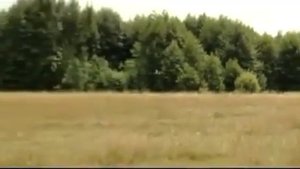 История песни "Ромашка Белая"//Митрополит Владимир(Cабодан)