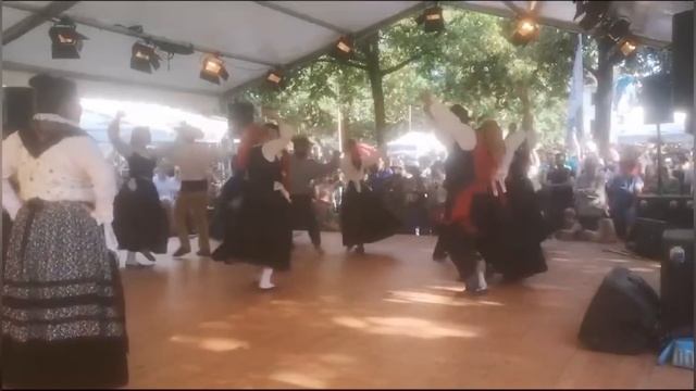 Фестиваль народных танцев в Цюрихе | с гордостью предоставляем Украину
