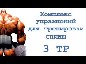 Комплекс упражнений для тренировки спины (3 тр)