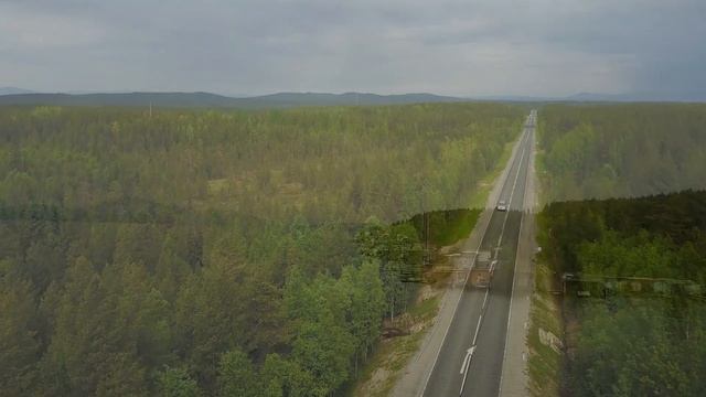 Летнее путешествие  команды "Живая Сила" вместе с четвероногими друзьями