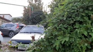 Купить участок в Ялте с видом на море.