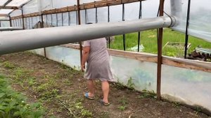Чем я подкармливаю клубнику?
