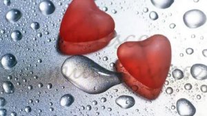 Frankie Goes to Hollywood - The Power Of Love - Traduzione.flv