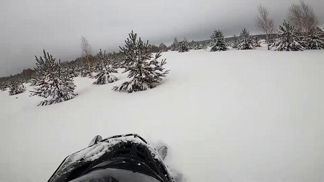 Тайга Варяг по пухляку смотреть онлайн