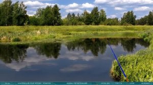 карп на перловку