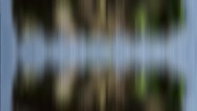 100 Опасных Моментов с Животными, Которые Лучше не Смотреть Одному смотреть онлайн