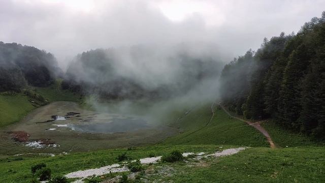 А память ни стереть, ни удалить. Звучат стихи Натальи Дарованной. смотреть онлайн