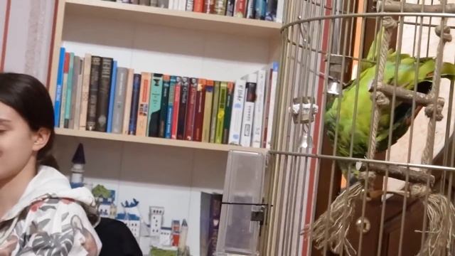 VLOG Что произошло у Кати смотреть онлайн