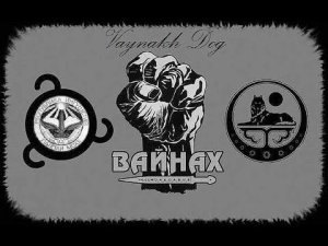 ПОСТУПОК НАСТОЯЩИХ МУСУЛЬМАН И ДОСТОЙНЫХ ВАЙНАХОВ