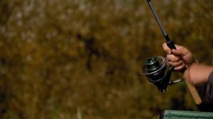 Обзор фидера Feeder Concept Silver Water 120 3.90 (FCSW120-390)