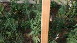 Капельный полив "ЖУК" ЭТО ПРОСТО и УДОБНО !