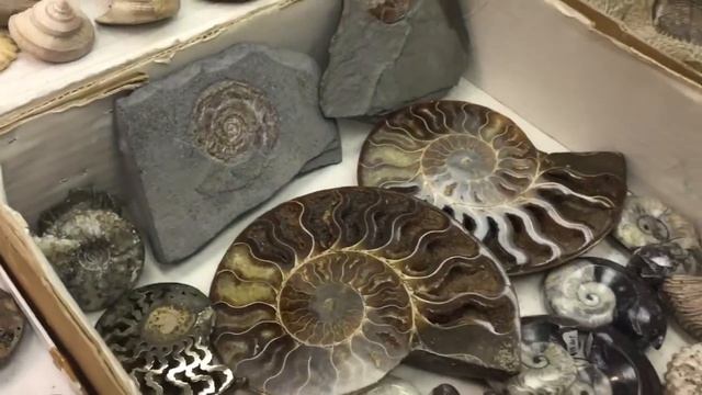 Выставка минералов 2017/2 смотреть онлайн