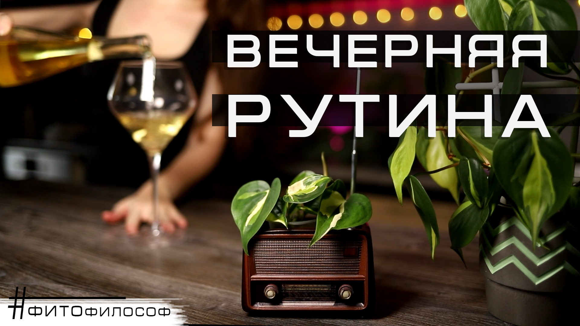 RELAX VLOG #5🌿Вечерняя цветочная рутина: Полив Замиков. Сажаю Сингониумы. Сморщила Санса Муншайн?