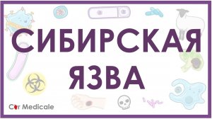 Сибирская язва： микробиология возбудителя, формы, проявления, патогенез, принцип лечения - кратко