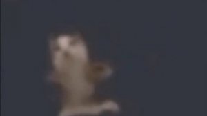 757c3f3c2b74209daec947cf5eb87fb9