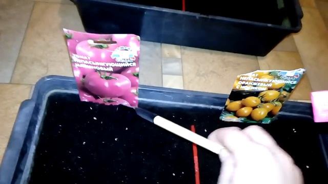 Часть 1 Садим в грунт семена непасынкующихся томатов : Малиновый и Оранжевый с носиком смотреть онлайн