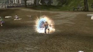 LineAge 2 PALADIN PVP!!! PVP SERVER (PART2)