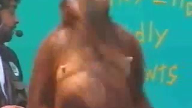 Прикол!!Если вы не посмотрели - зря прожили жизнь смотреть онлайн