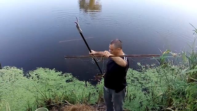 Красноперка на экраны.