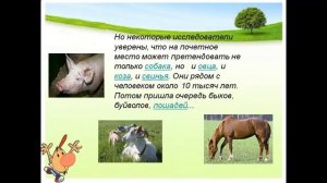 дикие и домашние животные 1 класс