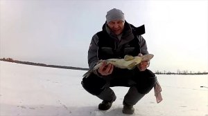 Ловля судака на Каме.