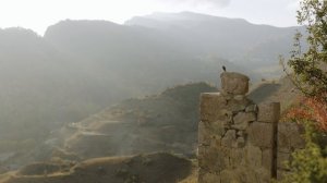 Аурика Мгои и Илья Чехов - Последняя Поэма