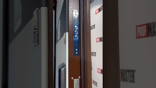 Видеообзор двери Тесла