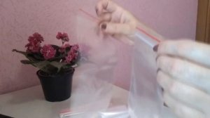 Сколько стоит фиалка Покупки для фиалок