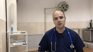 Можно ли стерилизовать кошку во время течки