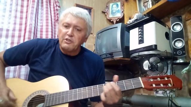 Сказка про то как ясный сокол попугая победил смотреть онлайн