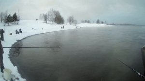 Трояновский сброс - ловля на маховые удилища со дна и вполводы, ответы на вопросы!!!