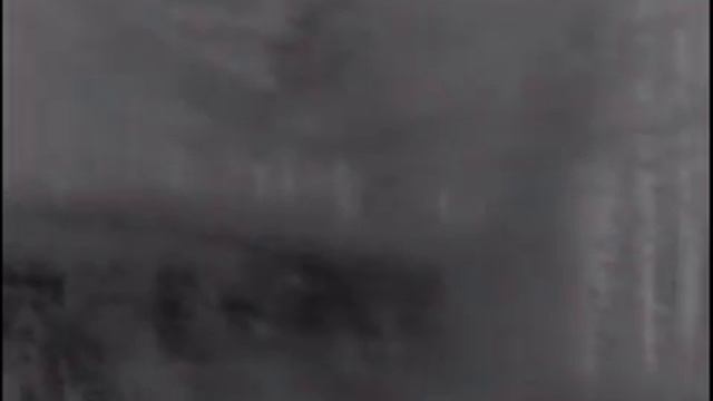 Медведица на поле с медвежатами смотреть онлайн