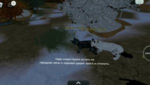 Коты-Воители роблокс. Боевые приемы.
