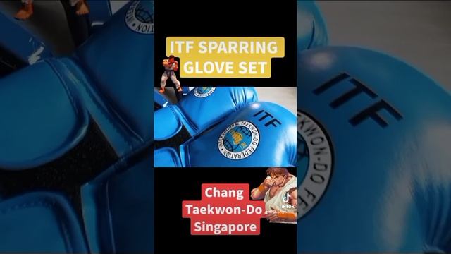 ITF SPARRING GLOVE GEAR | 11 November 2022 {#497]