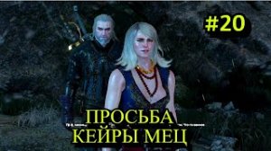 Ведьмак 3 Дикая охота Прохождение игры на пк на Русском #20