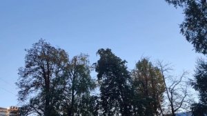 Киев, 17 октября. И еще мопеды. Хорошо слышно. Хорошо видно.