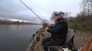 Братеево! Открытие зимнего фидера,ну или закрытие летнего!