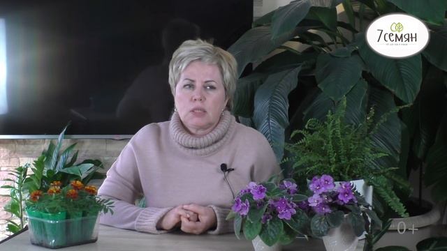 ПОЧЕМУ ВАЖНО ЗАКАЛИВАТЬ РАССАДУ И КАК ЭТО СДЕЛАТЬ! смотреть онлайн