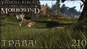 Morrowind Tamriel Rebuilt - ТРАВА! #148 (210) #shorts