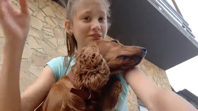 Мое первое видео!Факты обо мне и моей собаке