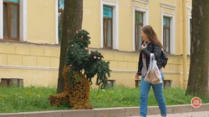 Человек куст напугал прохожих ПРАНК / Подстава - проверка пранков vjobivay