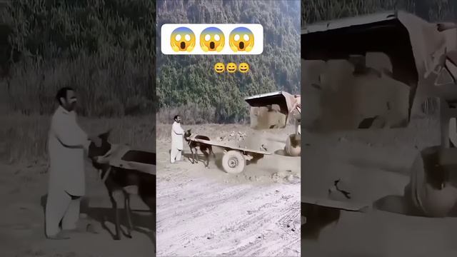 Некуда бежать