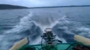 лодка ЯЗЬ и ВЕТЕРОК 8