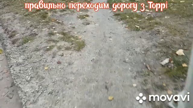 шмон гаража і проверка ревізор Торрі смотреть онлайн