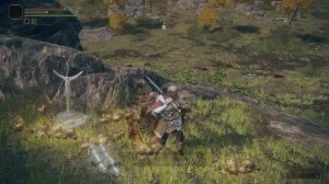 Как призвать фантома в ELDEN RING ?