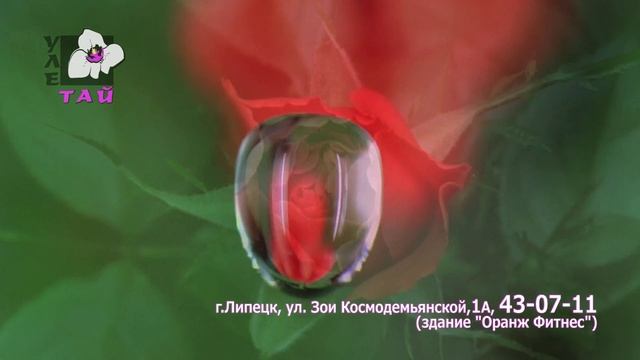 Тайки знают, как похудеть. смотреть онлайн