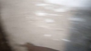 содержание,кормление, понос у телят