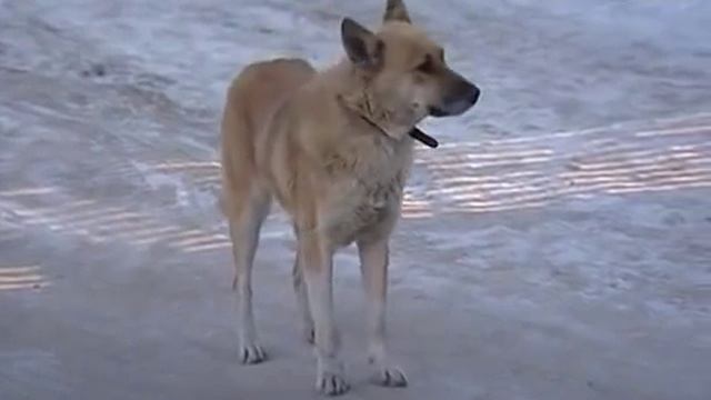 Ватланово не хочет присоединяться к Вологде