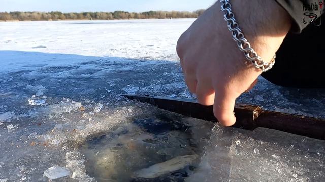 ПУЛЕМЁТНАЯ ПЛОТВА. Ловля на стоячую удочку с двумя отводами. смотреть онлайн